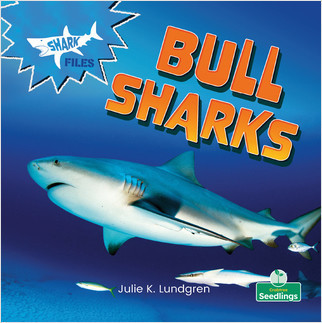Bull Sharks - 9781427158307 by Julie K. Lundgren, Amy Culliford, 9781427158307