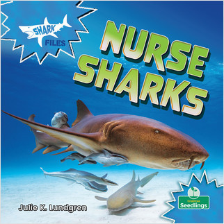 Nurse Sharks - 9781427158550 by Julie K. Lundgren, Amy Culliford, 9781427158550