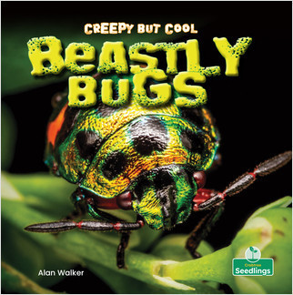 Creepy But Cool Beastly Bugs - 9781427161734 by Alan Walker, Amy Culliford, 9781427161734