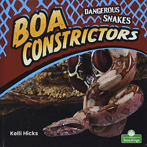 Boa Constrictors by Kelli Hicks, Amy Culliford, 9781427162328