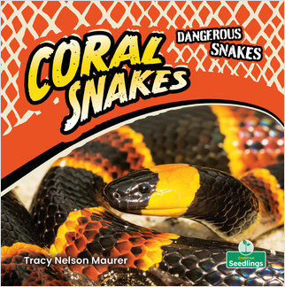 Coral Snakes - 9781427162359 by Tracy Nelson Maurer, Amy Culliford, 9781427162359