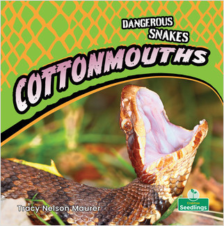 Cottonmouths - 9781427162366 by Tracy Nelson Maurer, Amy Culliford, 9781427162366