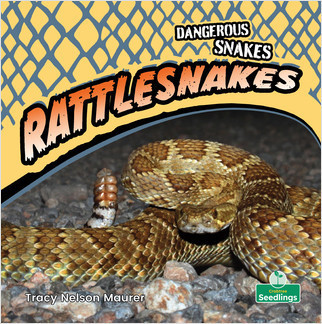 Rattlesnakes - 9781427162373 by Tracy Nelson Maurer, Amy Culliford, 9781427162373