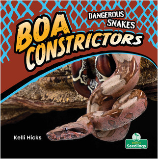 Boa Constrictors - 9781427162380 by Kelli Hicks, Amy Culliford, 9781427162380