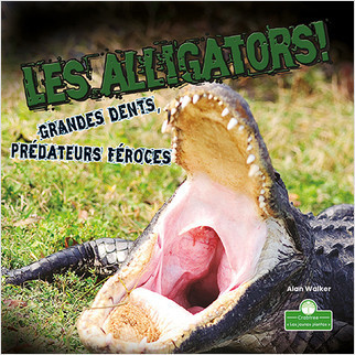 Les alligators! Grandes dents, prédateurs féroces (Alligators! Big Teeth, Fierce Hunters) by Alan Walker, Annie Evearts, 9781039608146