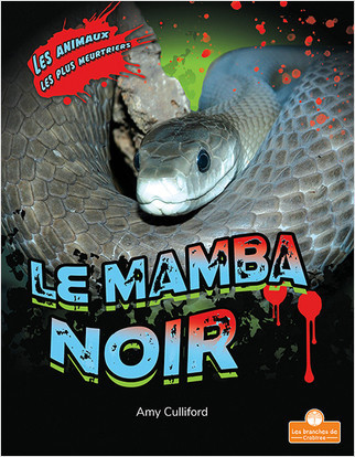Le mamba noir (Black Mamba) by Amy Culliford, Annie Evearts, 9781039602984