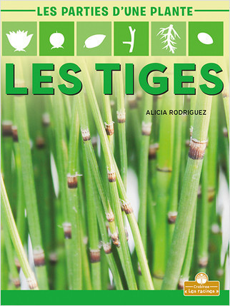 Les tiges (Stems) by Alicia Rodriguez, Annie Evearts, Claire Savard, 9781039606173