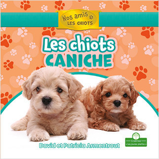 Les chiots caniche (Poodle Puppies) by David Armentrout, Annie Evearts, 9781039609044