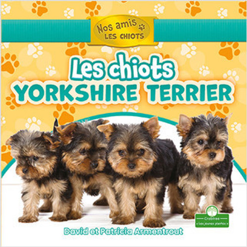 Les chiots yorkshire terrier (Yorkshire Terrier Puppies) by David Armentrout, Annie Evearts, 9781039609068