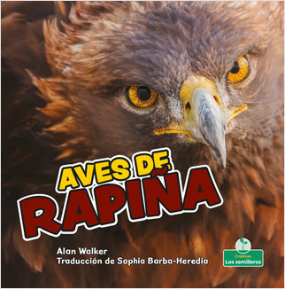 Aves de rapiña (Birds of Prey) by Alan Walker, Sophia Barba-Heredia, Gilda Kupferman, 9781039618206