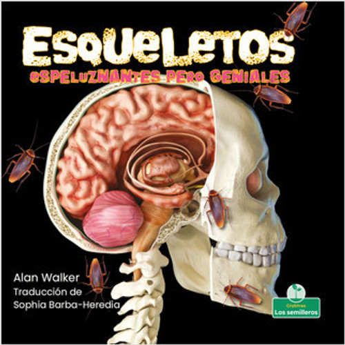 Esqueletos espeluznantes pero geniales (Creepy But Cool Skeletons) by Alan Walker, Sophia Barba-Heredia, Pablo de la Vega, Gilda Kupferman, 9781039618633