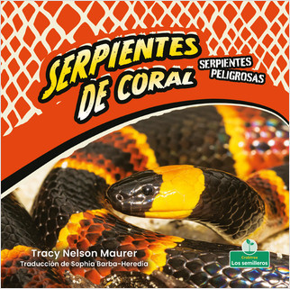 Serpientes de coral (Coral Snakes) by Tracy Nelson Maurer, Sophia Barba-Heredia, Gilda Kupferman, 9781039619302