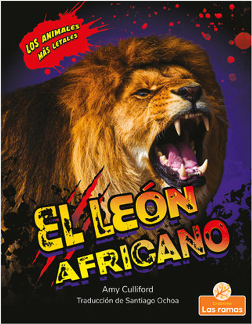 El león africano (African Lion) by Amy Culliford, Santiago Ochoa, Gilda Kupferman, 9781039612495