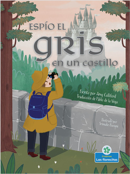 Espío el gris en un castillo (I Spy Gray in a Castle) by Amy Culliford, Srimalie Bassani, Sophia Barba-Heredia, Gilda Kupferman, 9781039610354