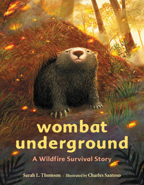 Wombat Underground (A Wildfire Survival Story) by Sarah L. Thomson, Charles Santoso, 9780316707060