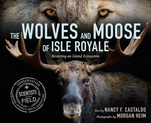 The Wolves and Moose of Isle Royale (Restoring an Island Ecosystem) by Nancy F. Castaldo, 9780358274230