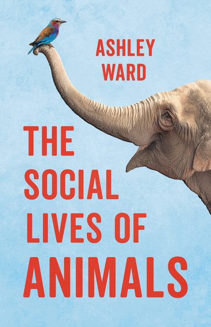 The Social Lives of Animals by Ashley Ward, 9781541600836