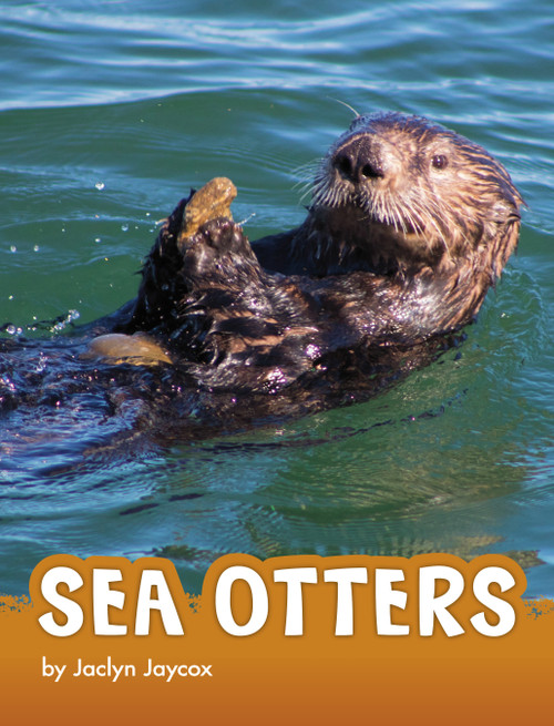 Sea Otters - 9781666325232 by Jaclyn Jaycox, 9781666325232