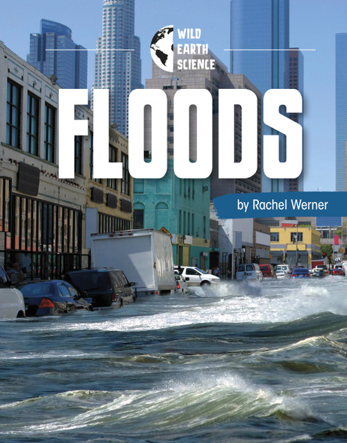 Floods - 9781663977014 by Rachel Werner, 9781663977014