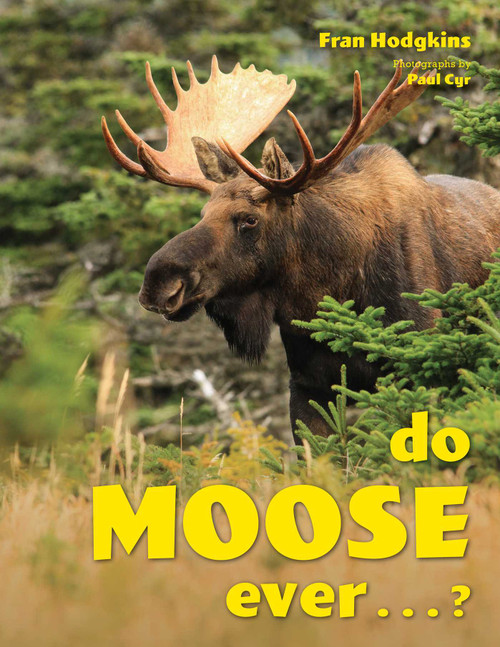 Do Moose Ever . . .? by Fran Hodgkins, 9781608937363