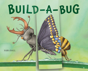 Build-a-Bug (Make Your Own Wacky Insect!) by Sara Ball, 9780789214287