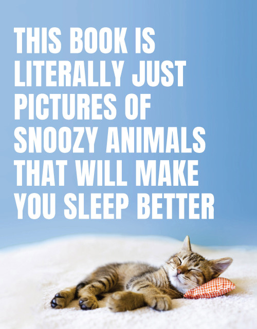 This Book Is Literally Just Pictures of Snoozy Animals That Will Make You Sleep Better by Smith Street Books, 9781925811384