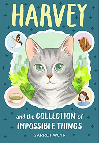 Harvey and the Collection of Impossible Things by Garret Weyr, Minnie Phan, 9781797206905