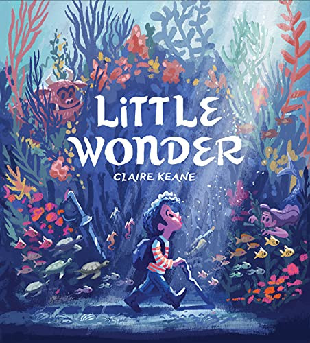 Little Wonder by Claire Keane, 9781797208121