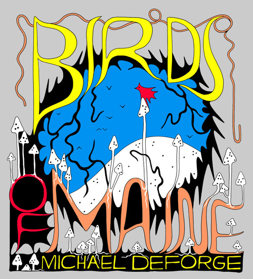 Birds of Maine by Michael DeForge, 9781770465664