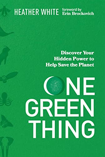 One Green Thing (Discover Your Hidden Power to Help Save the Planet) by Heather White, Erin Brockovich, 9780785291299