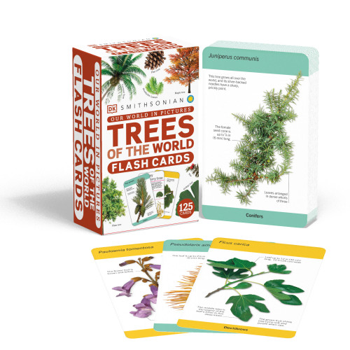 Our World in Pictures Trees of the World Flash Cards by DK, 9780744058307