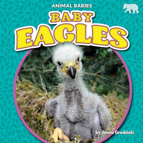 Baby Eagles - 9781636913551 by Jenna Grodzicki, 9781636913551