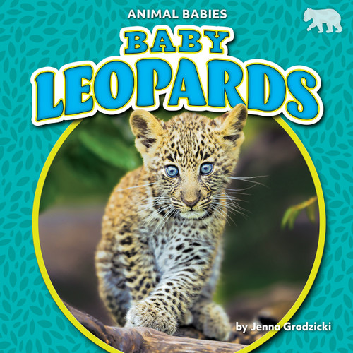 Baby Leopards by Jenna Grodzicki, 9781636913636
