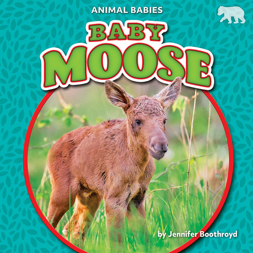 Baby Moose - 9781636913575 by Jennifer Boothroyd, 9781636913575