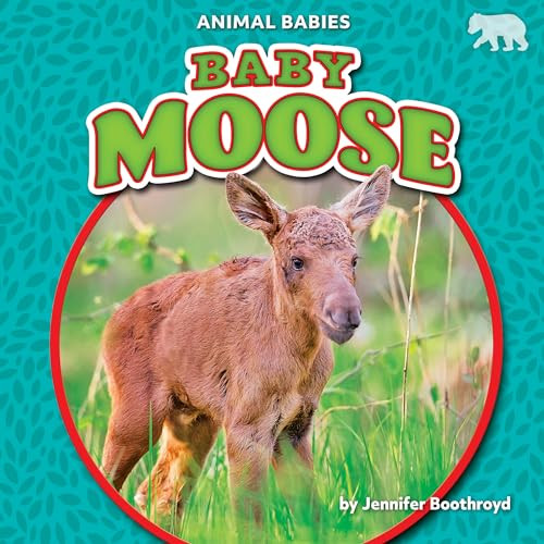 Baby Moose - 9781636913575 by Jennifer Boothroyd, 9781636913575