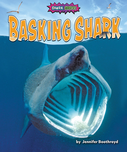 Basking Shark - 9781636915371 by Jennifer Boothroyd, 9781636915371