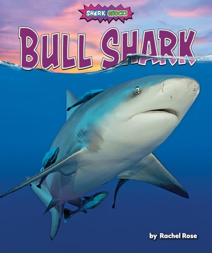 Bull Shark by Rachel Rose, 9781636915388