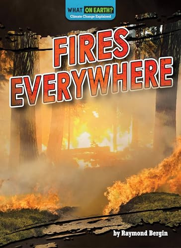 Fires Everywhere by Raymond Bergin, 9781636915562