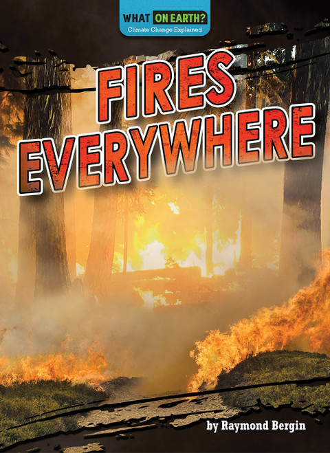 Fires Everywhere - 9781636915630 by Raymond Bergin, 9781636915630