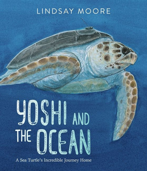 Yoshi and the Ocean (A Sea Turtle's Incredible Journey Home) by Lindsay Moore, Lindsay Moore, 9780063060982