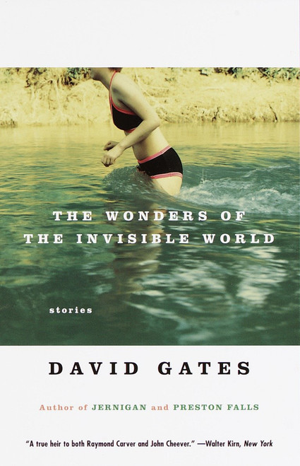 The Wonders of the Invisible World by David Gates, 9780679756446