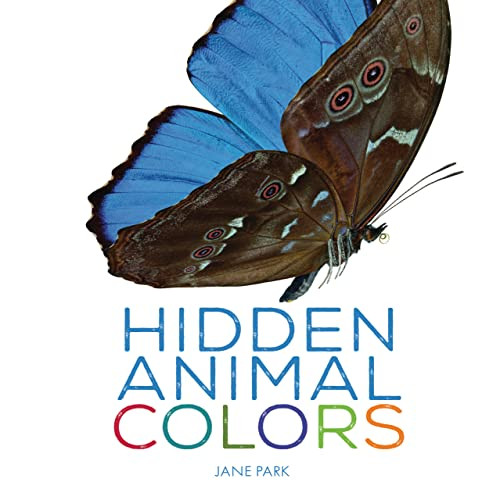 Hidden Animal Colors by Jane Park, 9781728445663