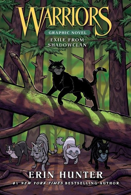 Warriors: Exile from ShadowClan (Full-Color Adventure) by Erin Hunter, 9780063043268