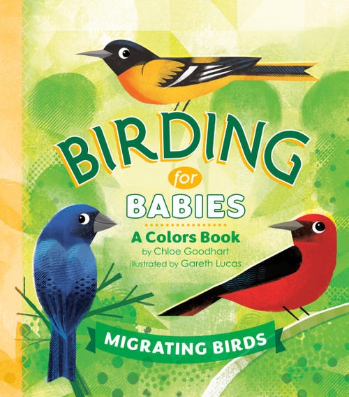 Birding for Babies: Migrating Birds (A Colors Book) by Chloe Goodhart, Gareth Lucas, 9780593386965