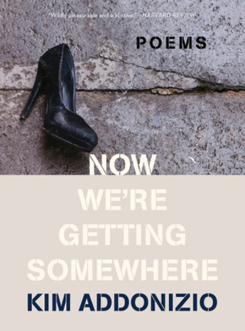 Now We're Getting Somewhere (Poems) - 9781324021940 by Kim Addonizio