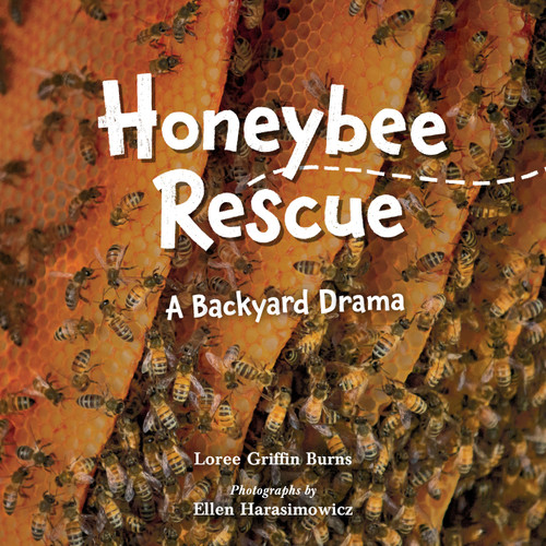 Honeybee Rescue (A Backyard Drama) by Loree Griffin Burns, Ellen Harasimowicz, 9781623542399