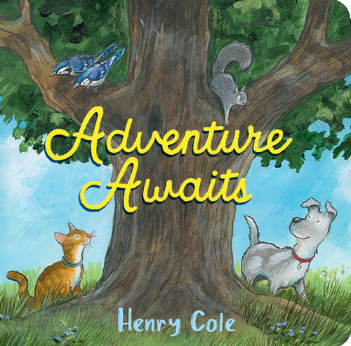 Adventure Awaits - 9781665902908 by Henry Cole, Henry Cole, 9781665902908