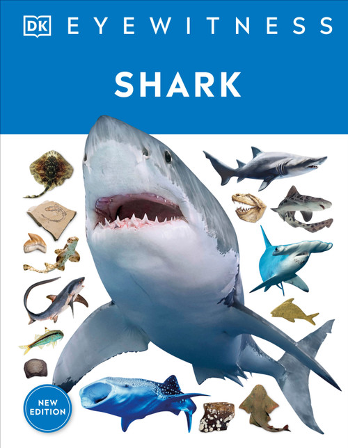 Eyewitness Shark (Dive into the fascinating world of sharks) by DK, 9780744056419