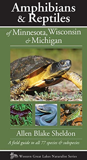 Amphibians & Reptiles of Minnesota, Wisconsin & Michigan (A Field Guide to All 77 Species & Subspecies) by Allen Blake Sheldon, 9781936571147