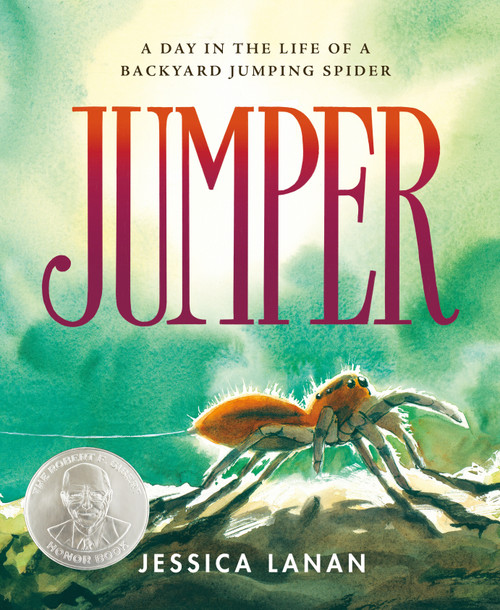 Jumper (A Day in the Life of a Backyard Jumping Spider) - 9781250810366 by Jessica Lanan, Jessica Lanan, 9781250810366